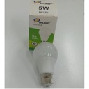 DP Light DC LED bulb